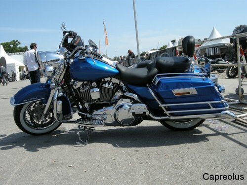 Lifestyle in blue