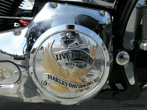 Live to ride ...