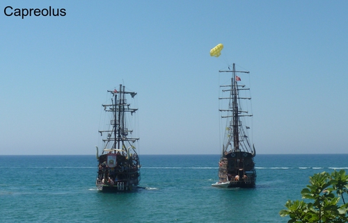 Piratenfahrt: Ausflugsschiffe