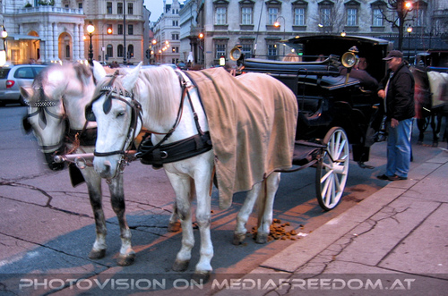 Christmas in Vienna 14: Fiaker