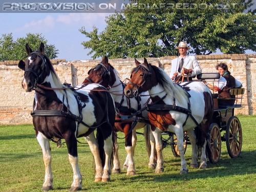 Kaiserliches Festgespann