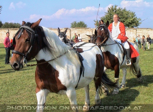 Kaiserliches Fest 02