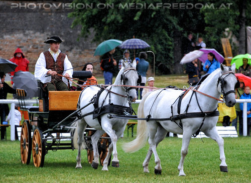 Kutschen 03: Lukas Svoboda