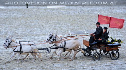Wei�e Esel aus Schloss Hof 3: Lukas Svoboda