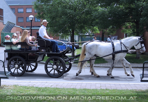 Rund um Mensch und Tier 07