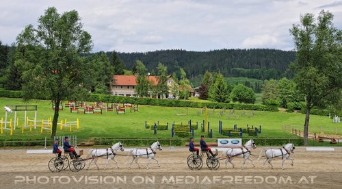 Die Pr�sentationen 25