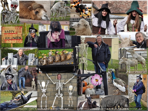 Gruselig tierischer Herbst: Gabriele P., Charly Swoboda