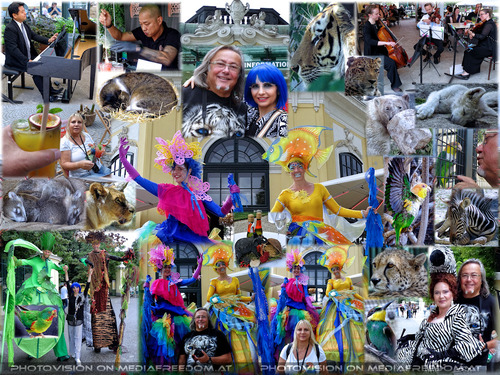 Traumhaft tierisch bunt