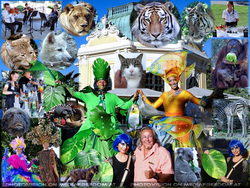 Tierisch traumhaft bunt