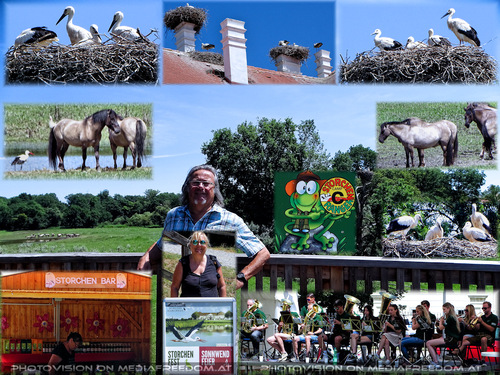 Freude bringt der Storch
