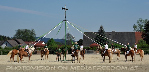 Die Lipizzaner Heimat 047