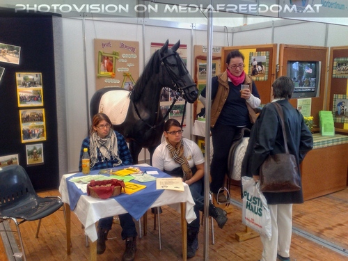 Hund, Katz und Co 07