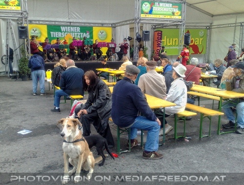 Hund, Katz und Co 08