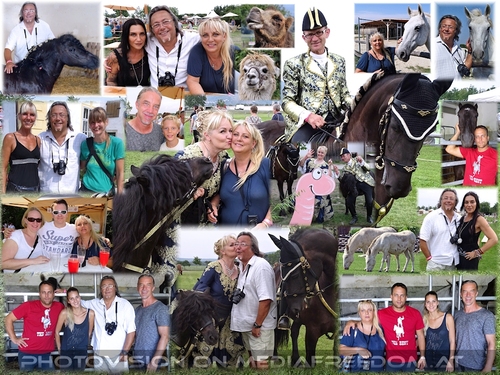 Die Stars und ihre G�ste