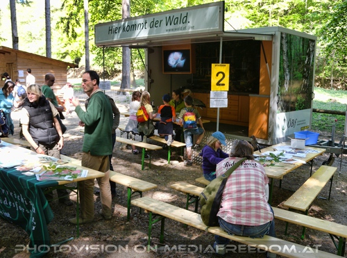 Hier kommt der Wald