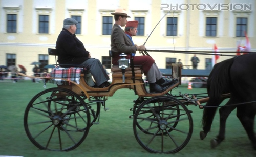 Einf�hrungsrunde: Helmut Pechlaner