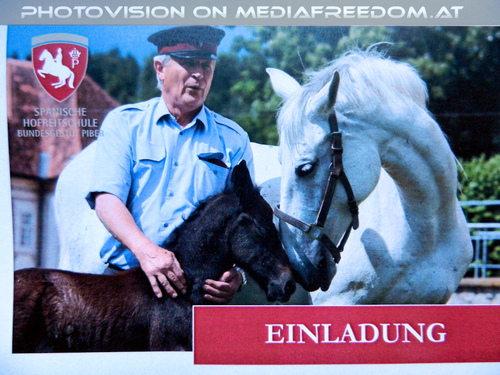 Lipizzaner Heimat 01