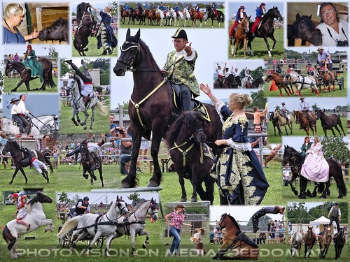 Die fulminant abwechslungsreiche Show