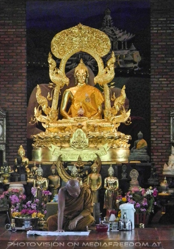 The B-Day of the Tigerman Pix 053