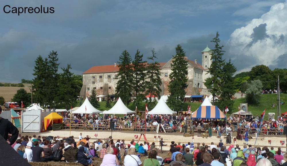 Das Schloss Jedenspeigen (Ritterfest)