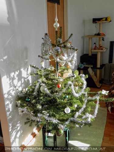 Evas Weihnachtsbaum