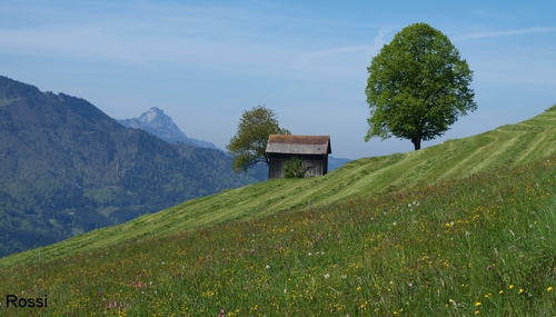 Ruhe in den Bergen Teil 2
