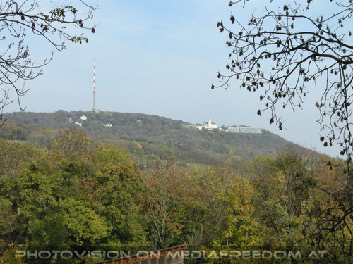 Blick in Richtung Kahlenberg