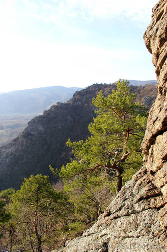 Aussicht vom Vogelberg in D�rnstein