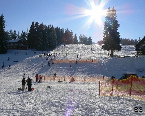 Winter auf dem Feldberg