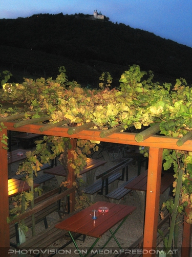 Blick zum Leopoldsberg