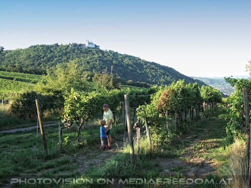 Blick zum Leopoldsberg