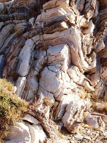 Strukturen der Natur