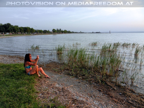 Das Meer der Wiener 36