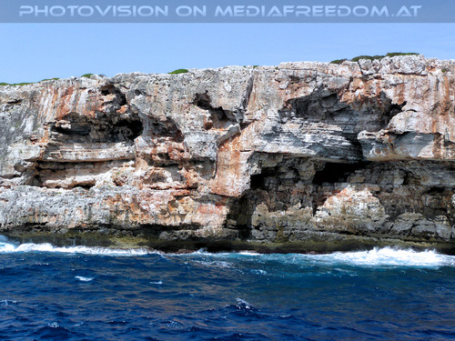 Glass bottom boat tour 30