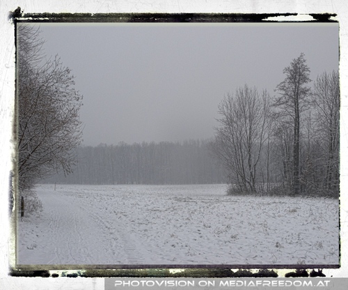 Schneew�ste