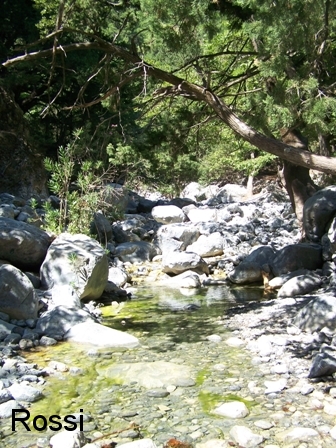 Trinkwasser en Masse...