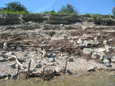 Hochwasserschichten Au bei Hainburg