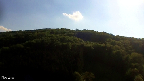 �sterreichwoke im Flug