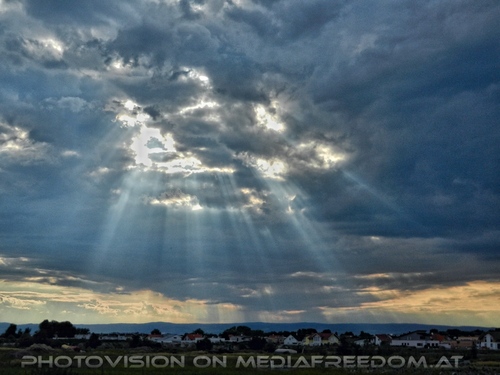 Am Meer der Wiener 42