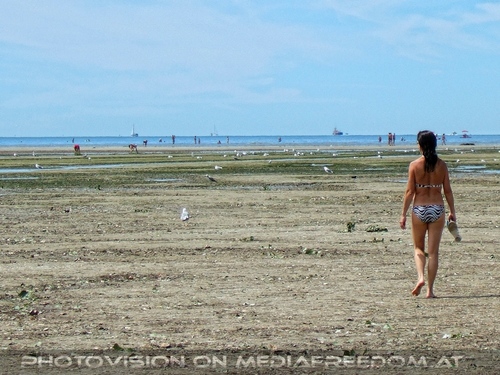 Der lange Strand 11: Eva D.