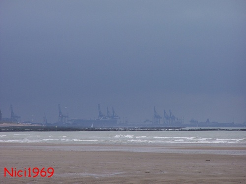 Natur oder Fabrik: Natur