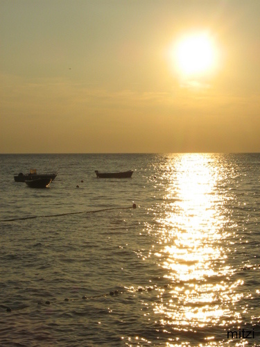 somewhere beyond the sea