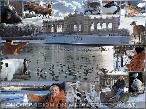 Winterliches Sch�nbrunn