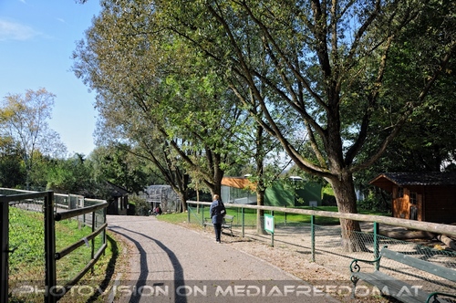 Linzer Tiergarten 01