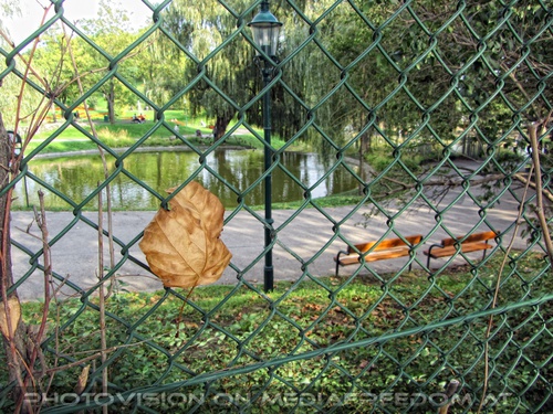 Blick in den Kurpark