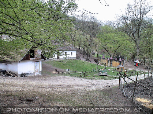 Den Tieren so nah 13