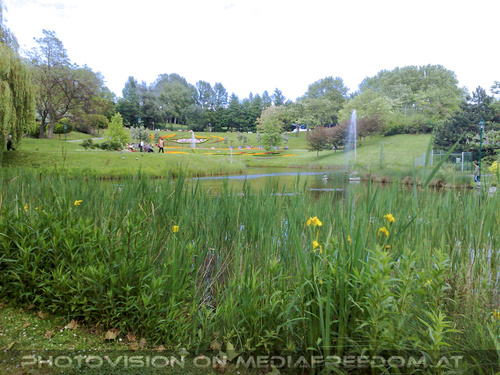 Am Land in der Stadt 12