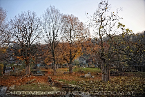 Die S�damerika Anlage