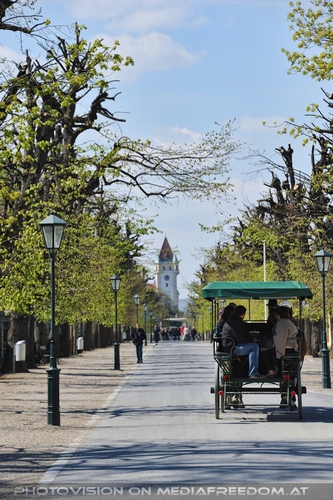 Kutschenfahrt im Park