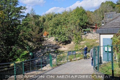 Linzer Tiergarten 14